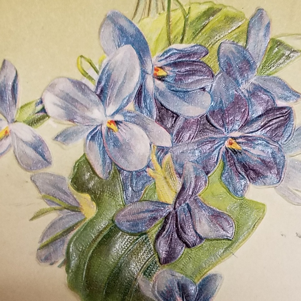 Meet your Posher, Katy